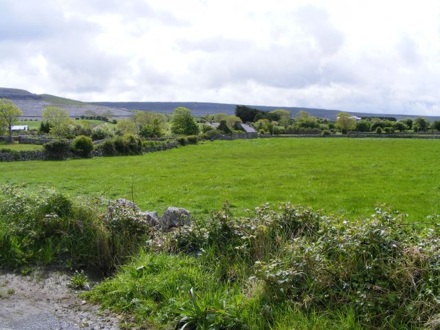 M2806 : Pasture and ruined cottage - Turlough Townland