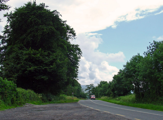 S8566 : N81 near Ballon, Co. Carlow S8566 : N81 near Ballon, Co. Carlow