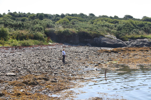 V8149 : Ardigole Shore V8149 : Ardigole Shore