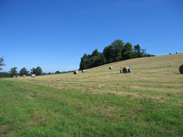 H3905 : The Farnham Estate