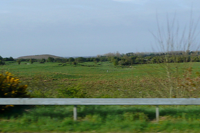 R4262 : Off the R471, Shannon R4262 : Off the R471, Shannon