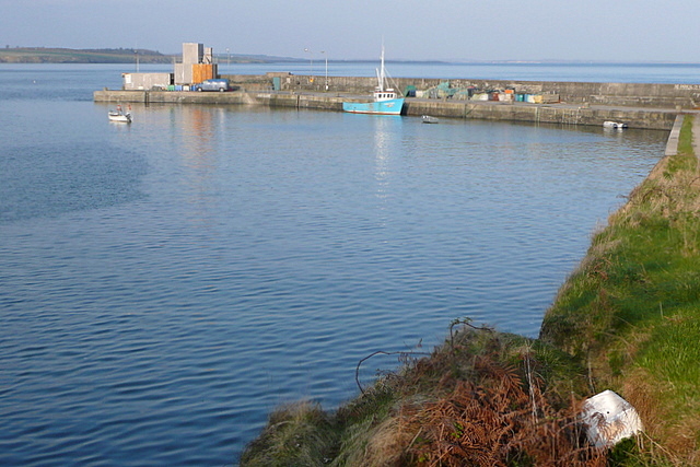 Q8451 : Carrigaholt New Quay