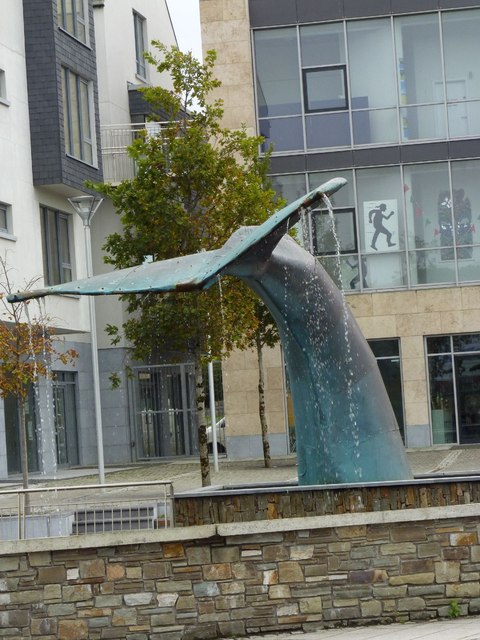 W3841 : The Whale's Tail, the Waterfront, Clonakilty W3841 : The Whale's Tail, the Waterfront, Clonakilty