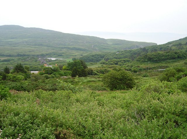 V6343 : Gour V6343 : Gour