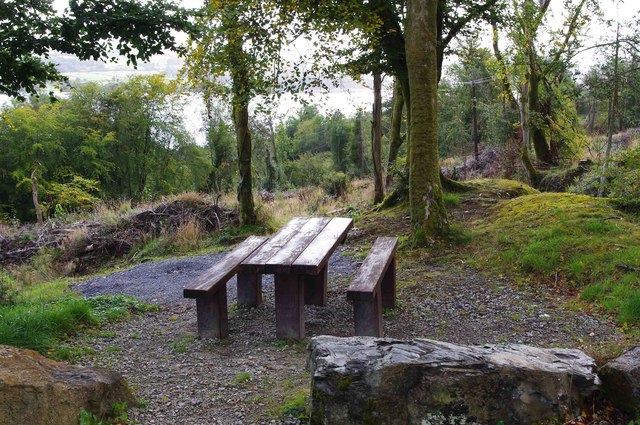 R6875 : Ballycuggaran Forest Recreation Area - picnic table, near Killaloe, Co. Clare R6875 : Ballycuggaran Forest Recreation Area - picnic table, near Killaloe, Co. Clare