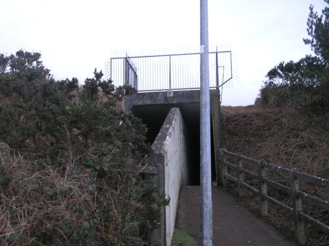 W6078 : Underpass under the N20 W6078 : Underpass under the N20