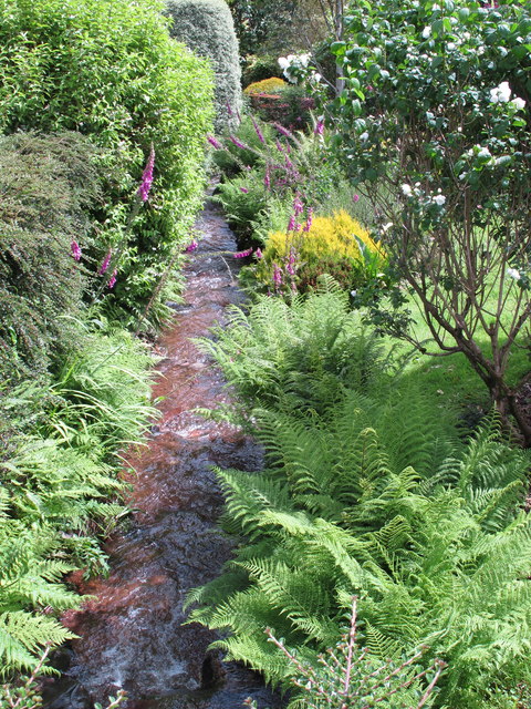 W7175 : Stream through garden near Sallybrook