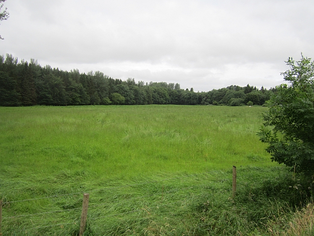 N7997 : Field outside Dun na Rí Forest Park