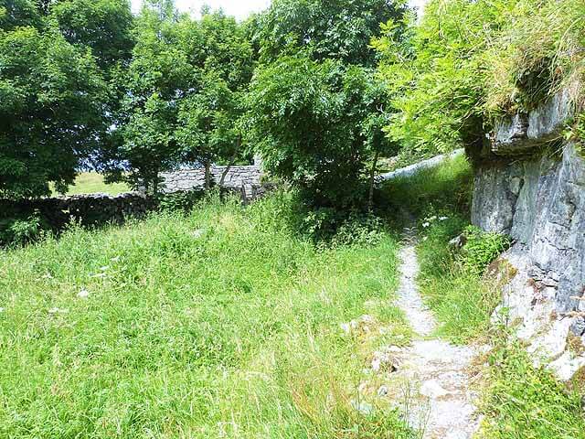 R2899 : Footpath to Teampall Chrónáin