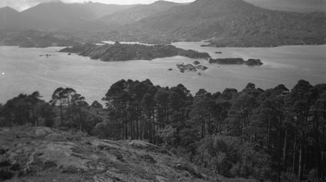 V9354 : Garnish Island