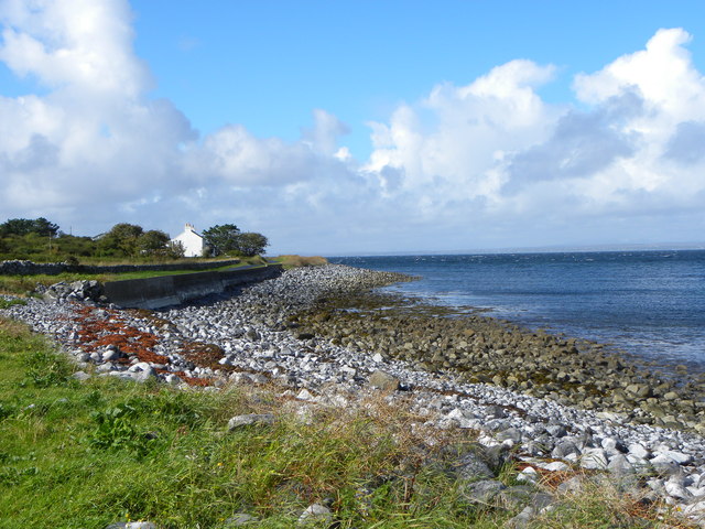 M2712 : The Flaggy Shore, New Quay M2712 : The Flaggy Shore, New Quay