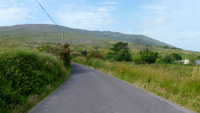 V9332 : 'Mountain Road', north of Schull, 1