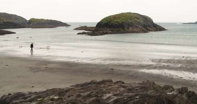 W1228 : Walking the dog W1228 : Walking the dog