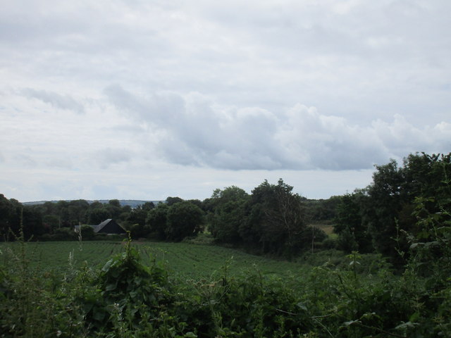 W8676 : View towards Midleton W8676 : View towards Midleton