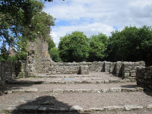 W8493 : Castlelyons Abbey - choir