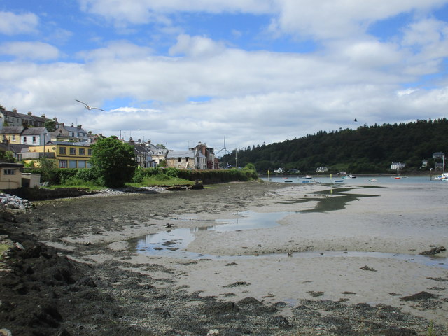 W7961 : Crosshaven harbour and Curraghbinny Wood W7961 : Crosshaven harbour and Curraghbinny Wood