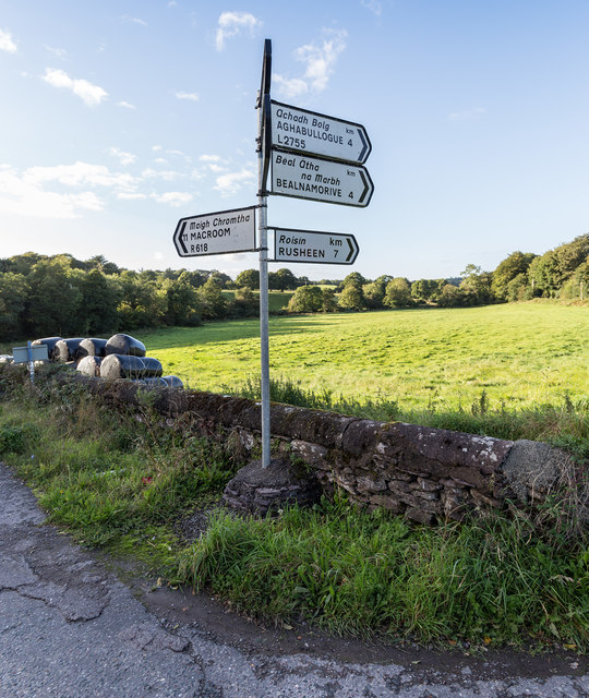 W4374 : Finger post sign at the junction