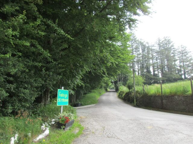 W3965 : Road into Kilmurry