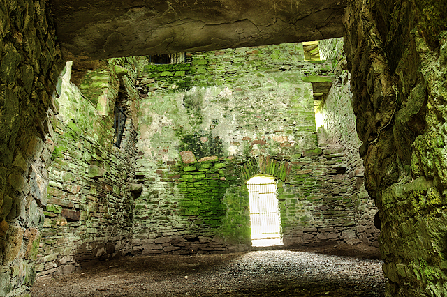 W2850 : Castles of Munster: Ballinacarriga, Cork - revisited (2)