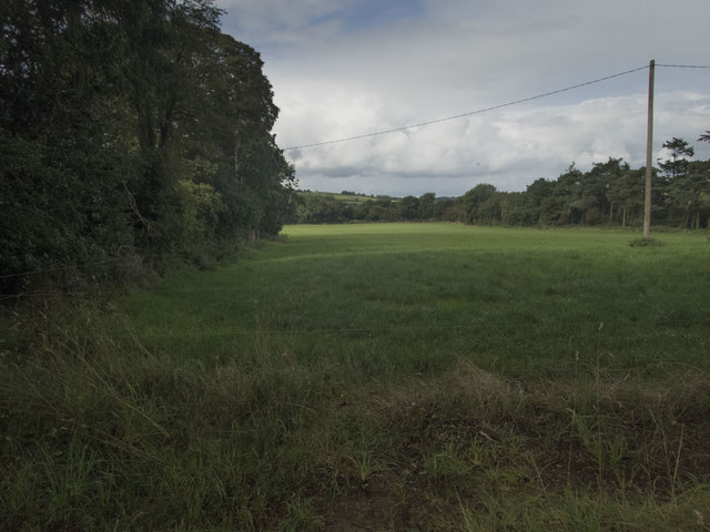 W3753 : To the River Bandon