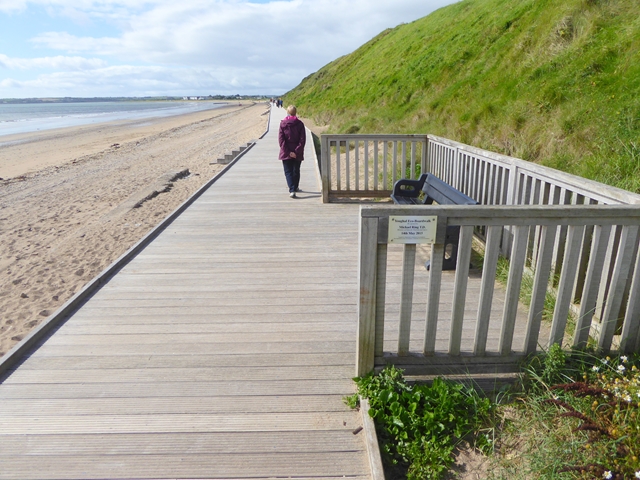 X1075 : Eco-boardwalk at Youghal