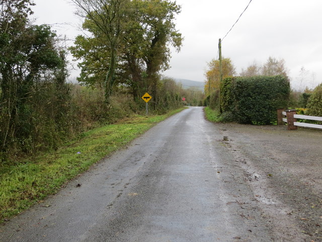 R8015 : Road (L5633) from Clyro about to join R517