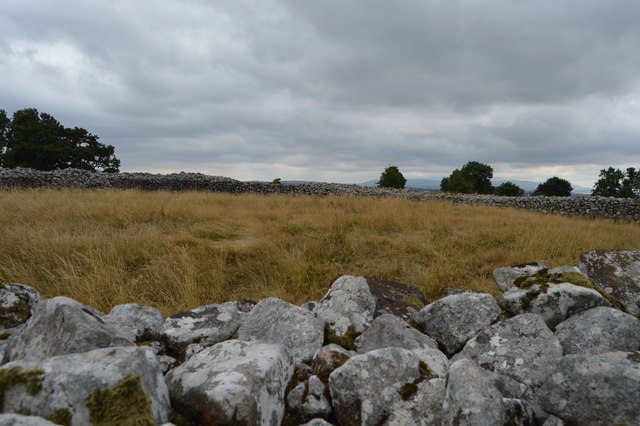 S9073 : Rathgall Hill Fort S9073 : Rathgall Hill Fort