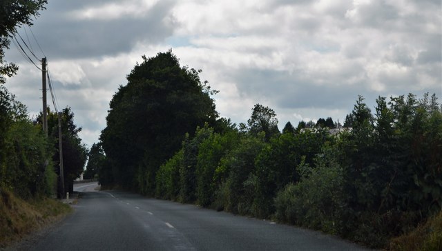 S7858 : Rural County Carlow S7858 : Rural County Carlow