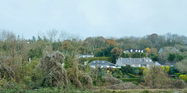 W7472 : Houses on Factory Hill, Glanmire W7472 : Houses on Factory Hill, Glanmire