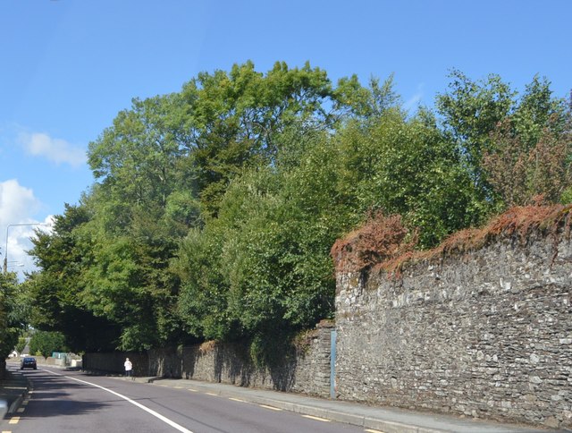 W3841 : Wall by N71 W3841 : Wall by N71