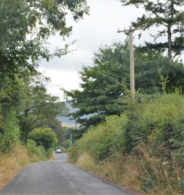 S7751 : L7029 S7751 : L7029