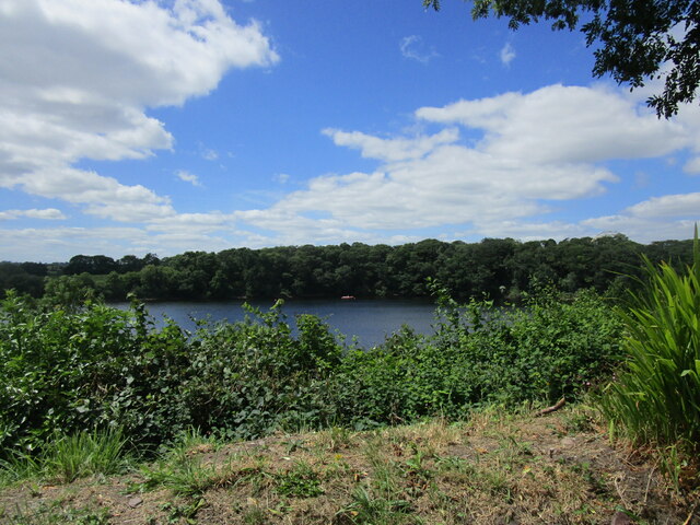 W5173 : The Dripsey River W5173 : The Dripsey River