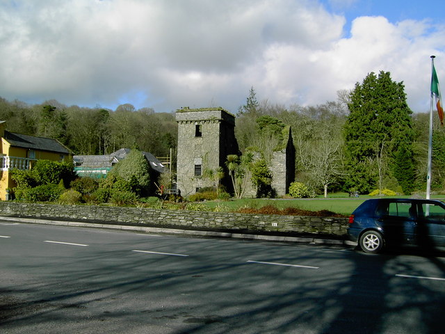 W1977 : Ruin of old Mill, The Mill Inn, Ballyvourney