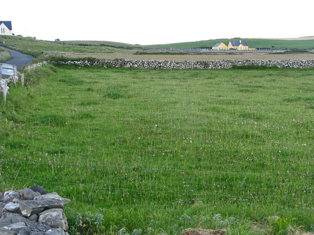 R0897 : Fields separated by drystone walls and farmhouse beyond
