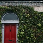 red wooden door covered with green vine plants