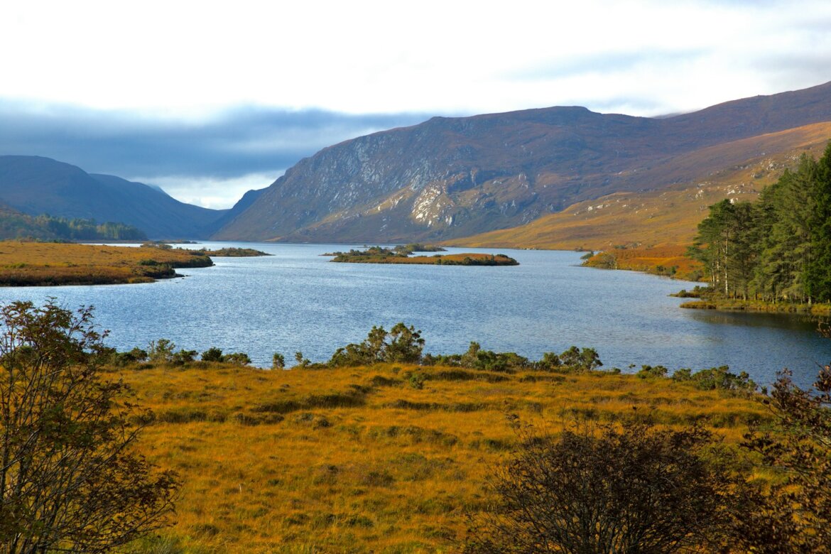 green grass field near body of water during daytime