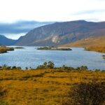 green grass field near body of water during daytime