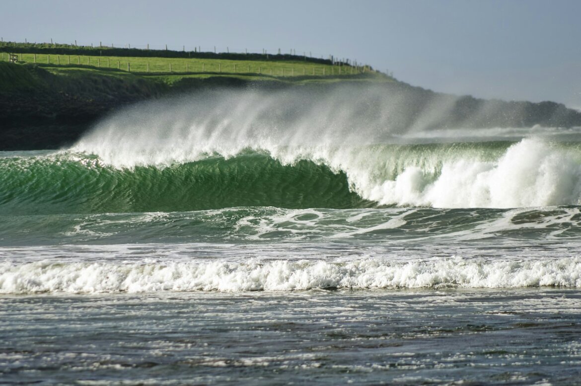 green grass field beside sea waves during daytime