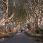 person in black jacket walking on road between trees during daytime