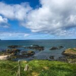 green grass on brown rock formation near body of water during daytime