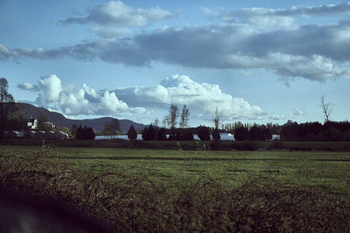 a field with trees and houses in the background