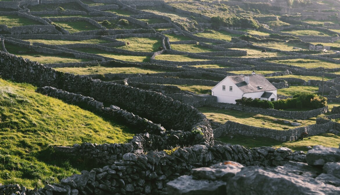 a white house sitting on top of a lush green hillside