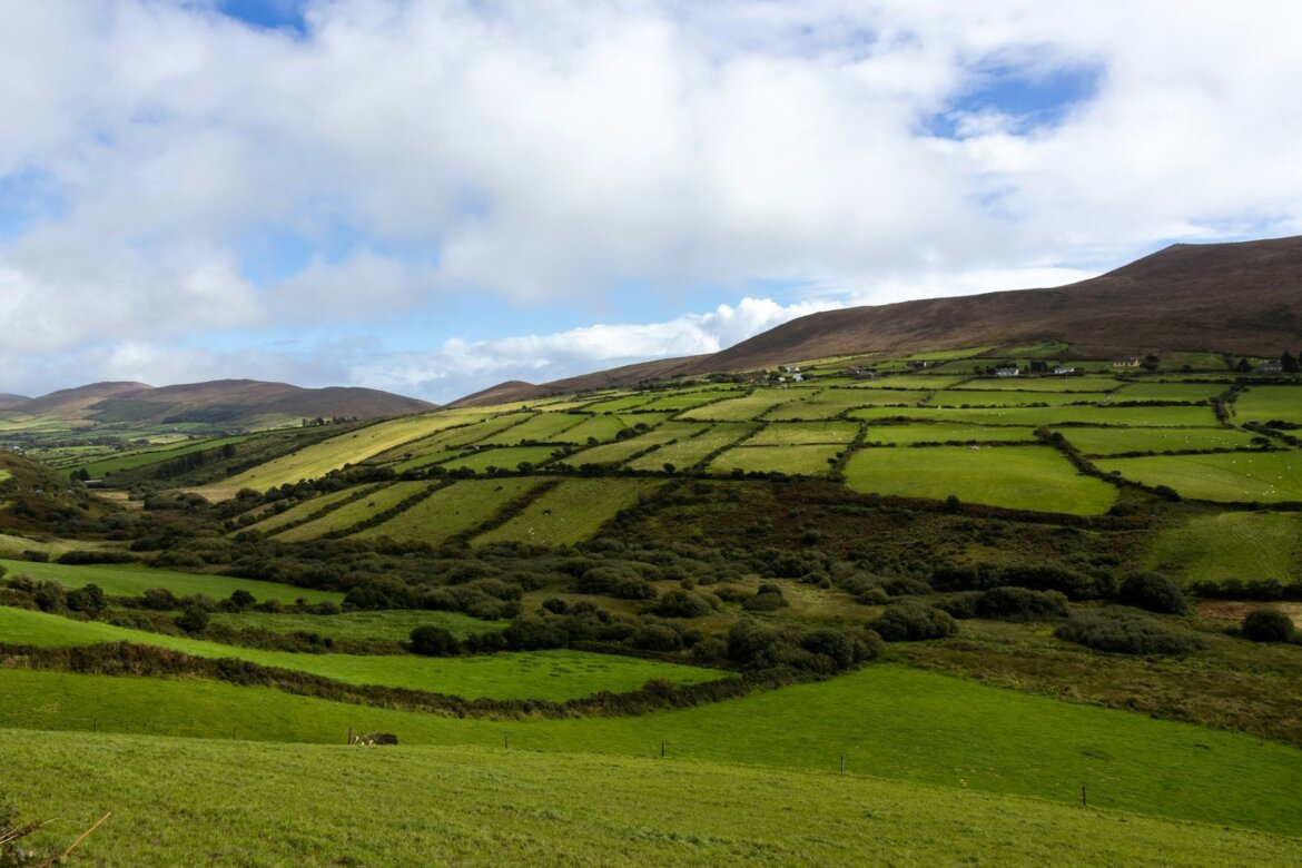 A lush green hillside with a blue sky in the background