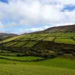A lush green hillside with a blue sky in the background