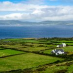 house on grass field during day