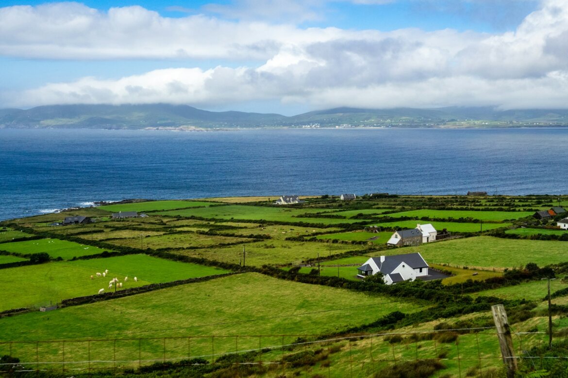 house on grass field during day