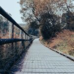 a path that is next to a fence