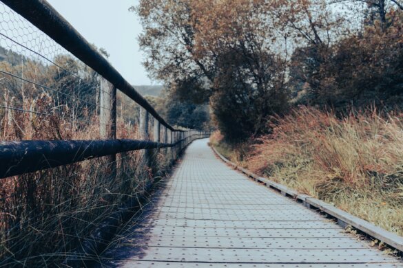 a path that is next to a fence