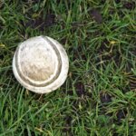 an old tennis ball sitting in the grass